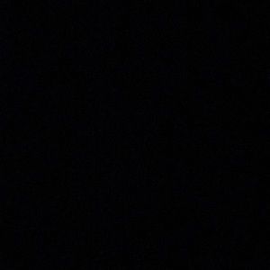 Meet your Posher, Gary